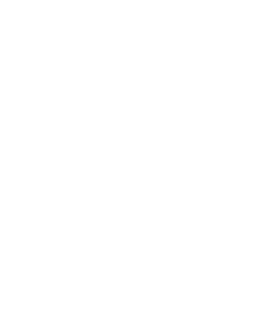 3S Immo